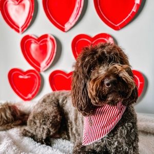 Meet your Posher, Sydnee